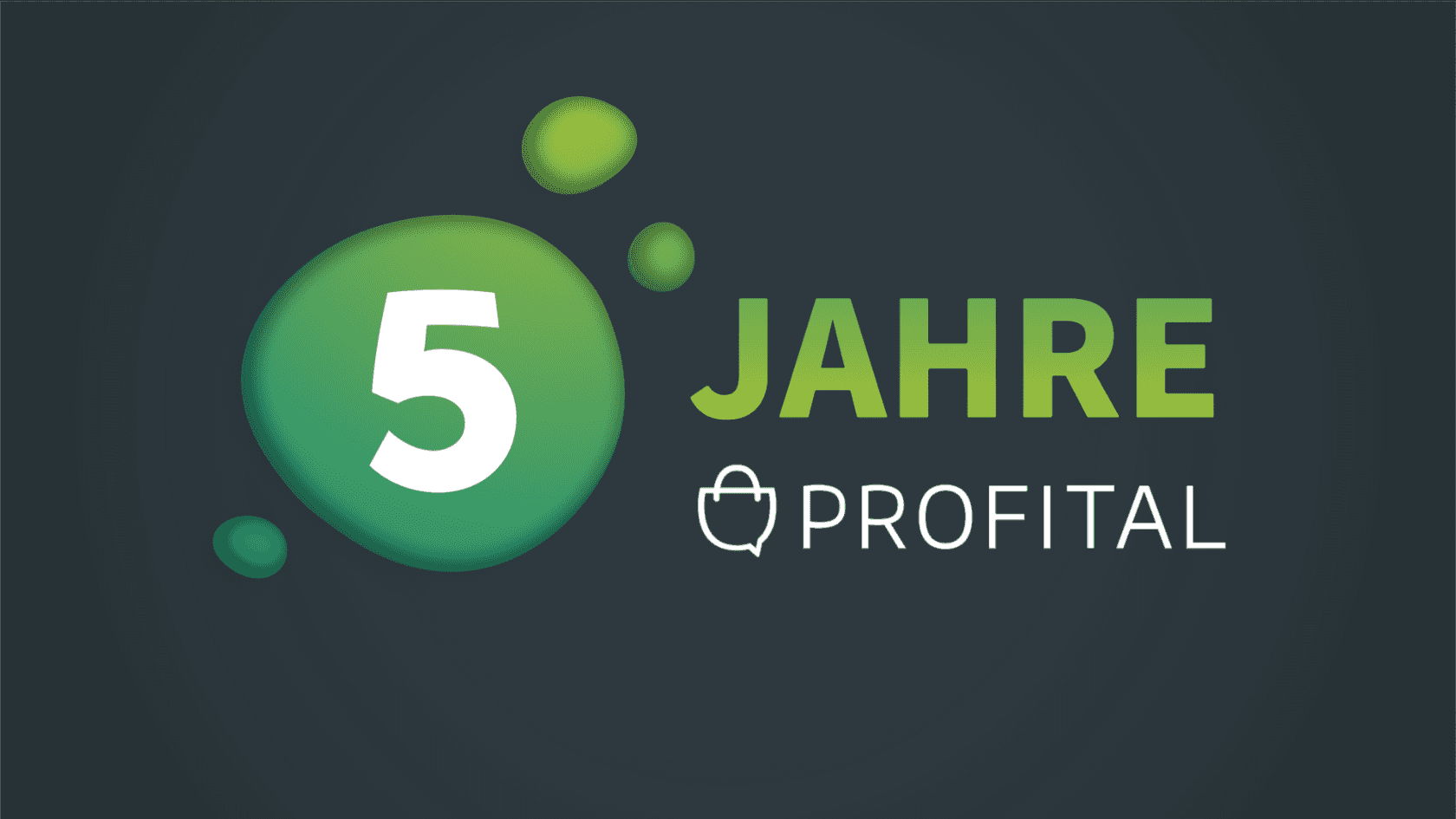 Profital Five Years project preview